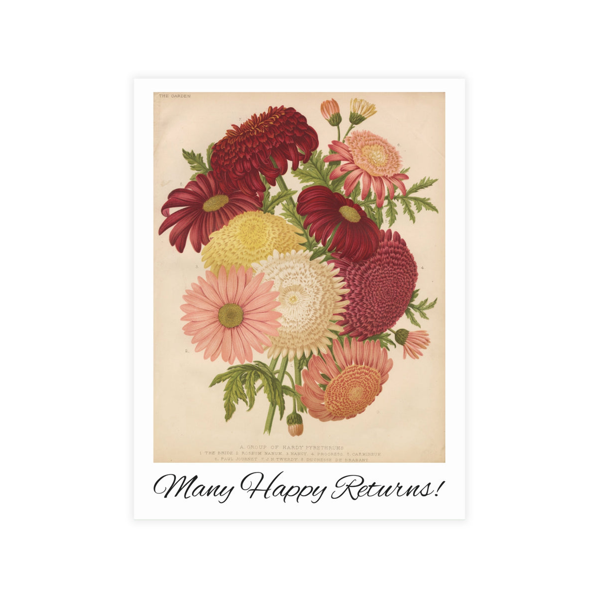 Many Happy Returns Postcard, Greeting Card - Vintage Style, Vintage Art
