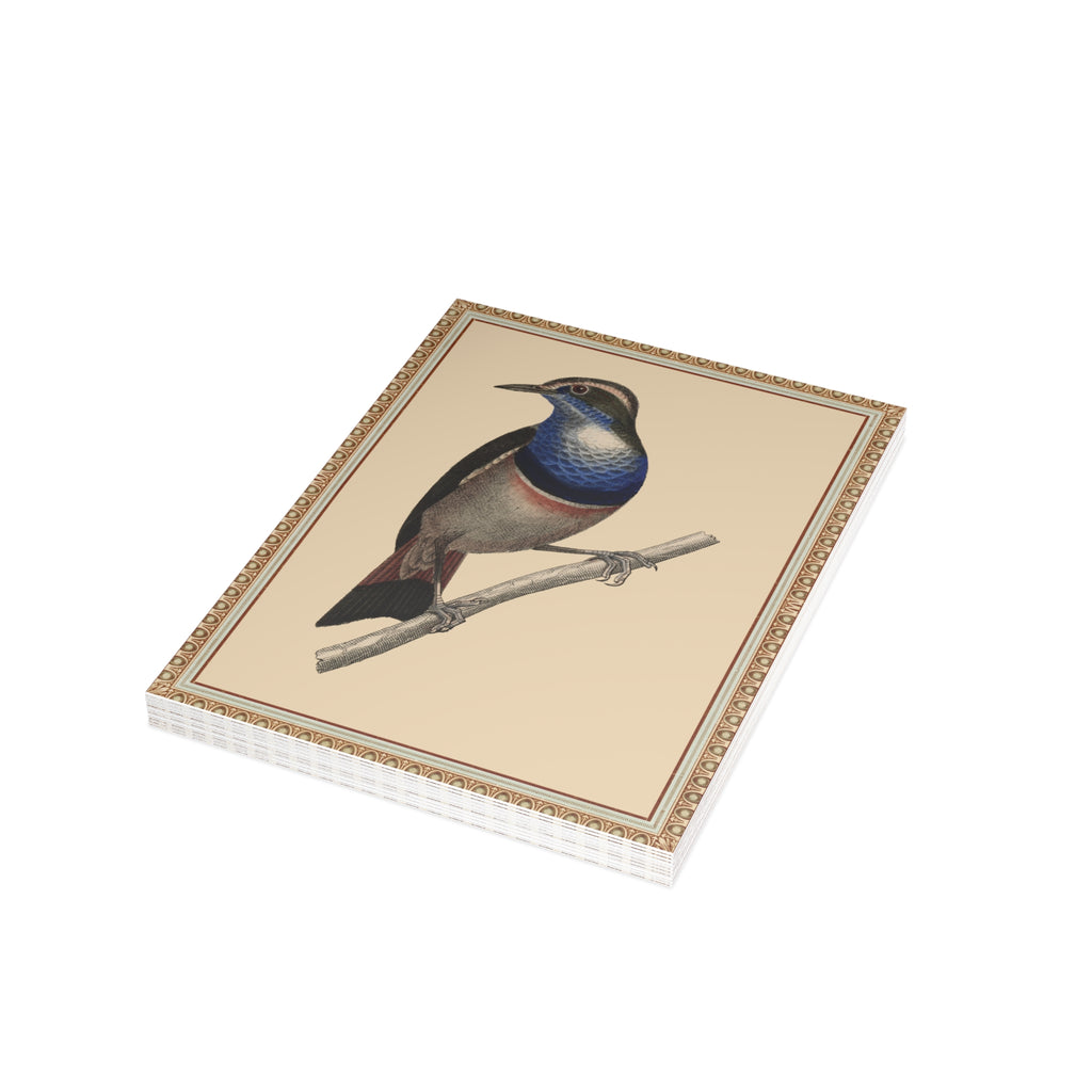 Blue-breasted Pitta Bird Postcard, Greeting Card - Vintage Style, Vintage Art