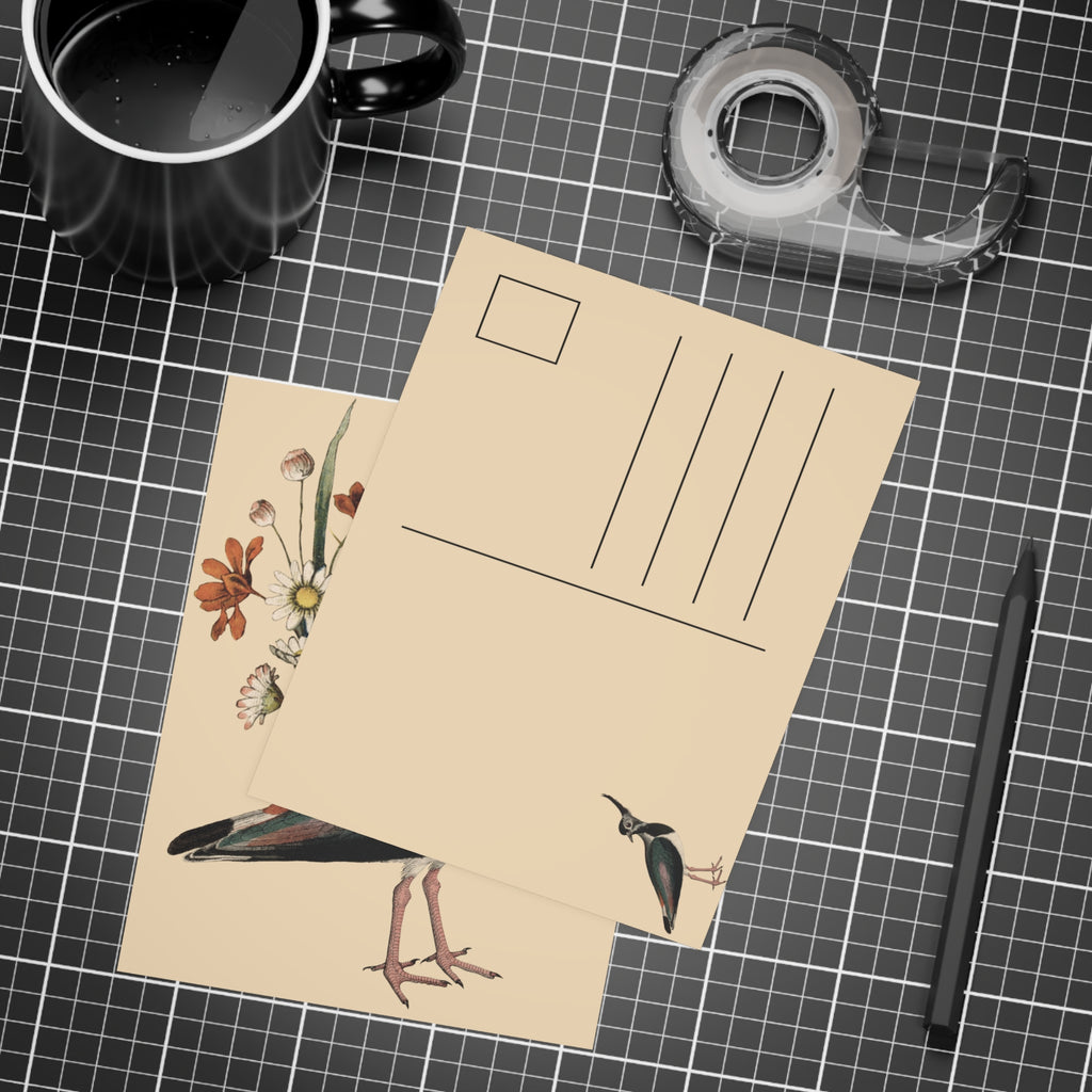 Northern Lapwing Postcard, Greeting Card - Vintage Style, Vintage Art