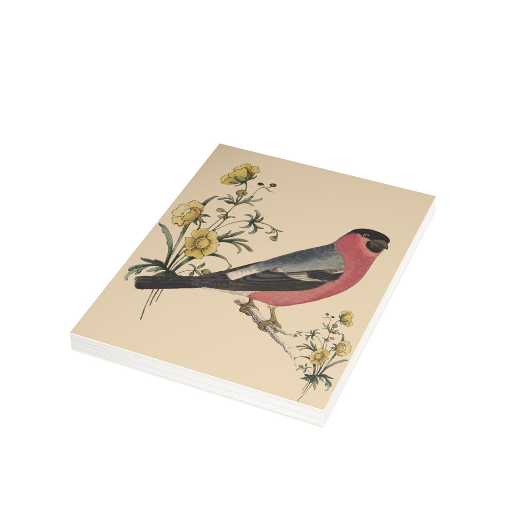 Eurasian Bullfinch Postcard, Greeting Card - Vintage Style, Vintage Art