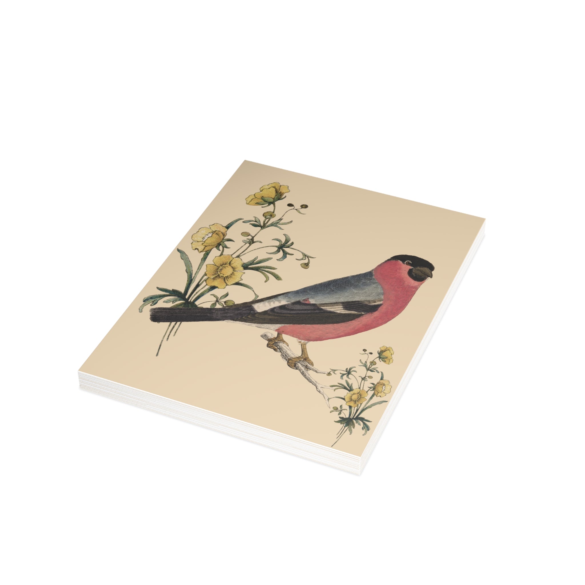 Eurasian Bullfinch Postcard, Greeting Card - Vintage Style, Vintage Art