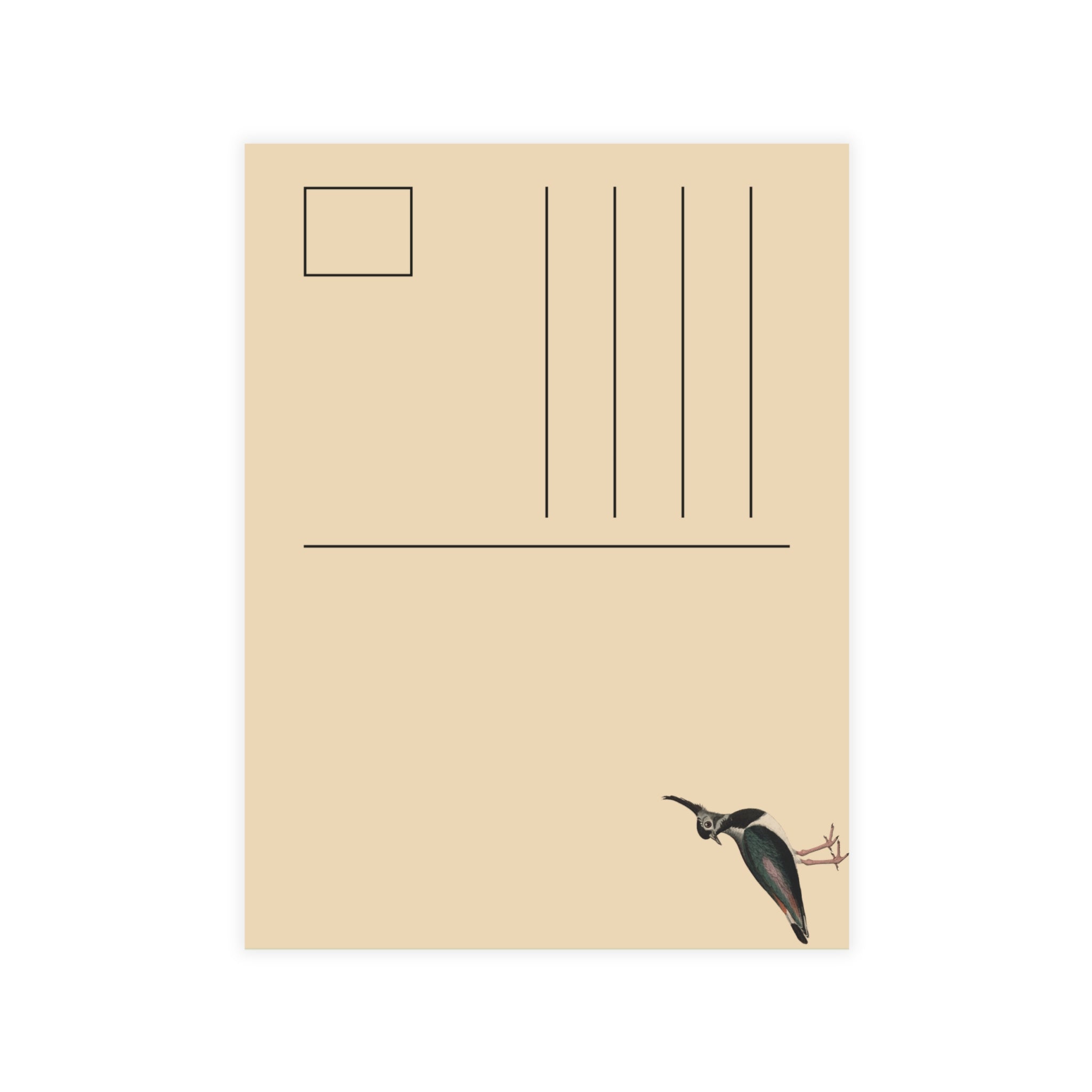 Northern Lapwing Postcard, Greeting Card - Vintage Style, Vintage Art