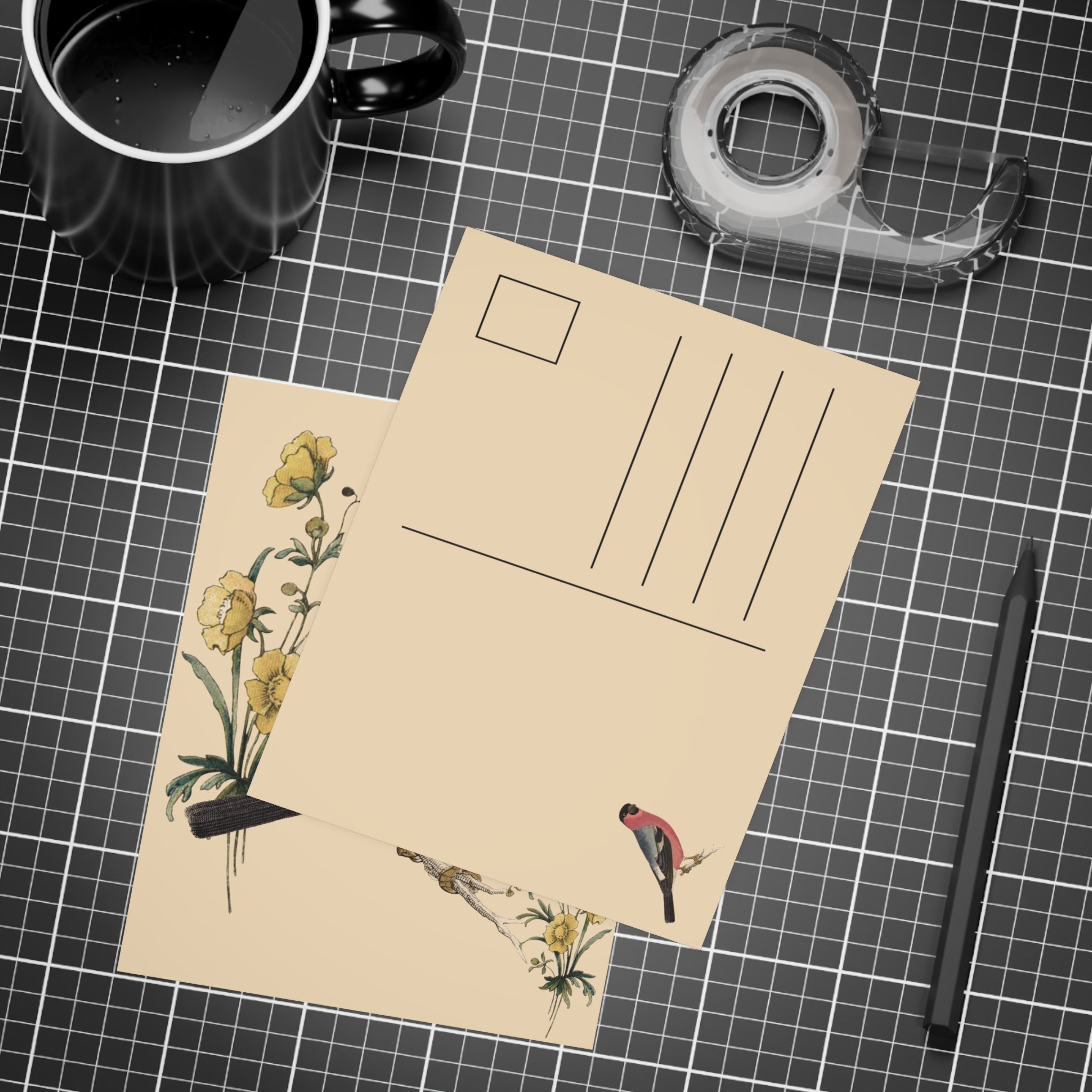 Eurasian Bullfinch Postcard, Greeting Card - Vintage Style, Vintage Art