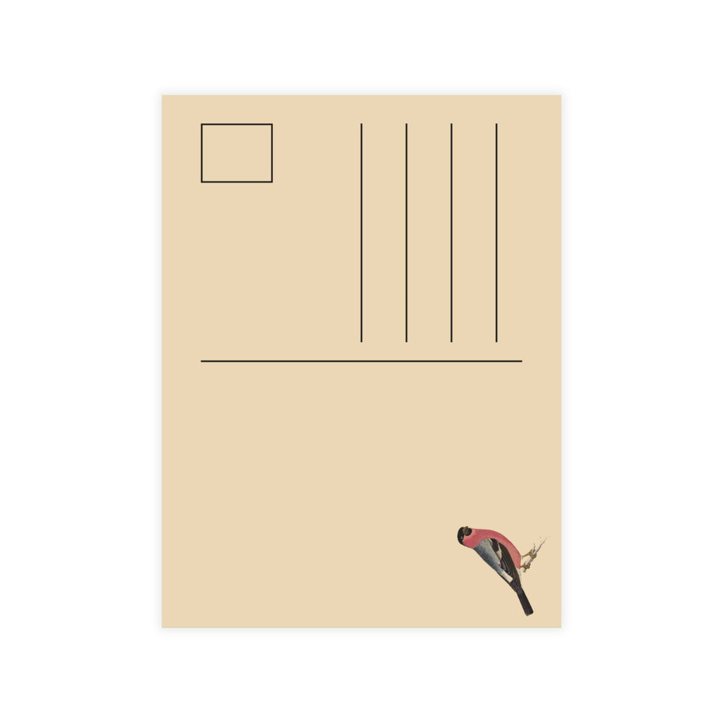 Eurasian Bullfinch Postcard, Greeting Card - Vintage Style, Vintage Art