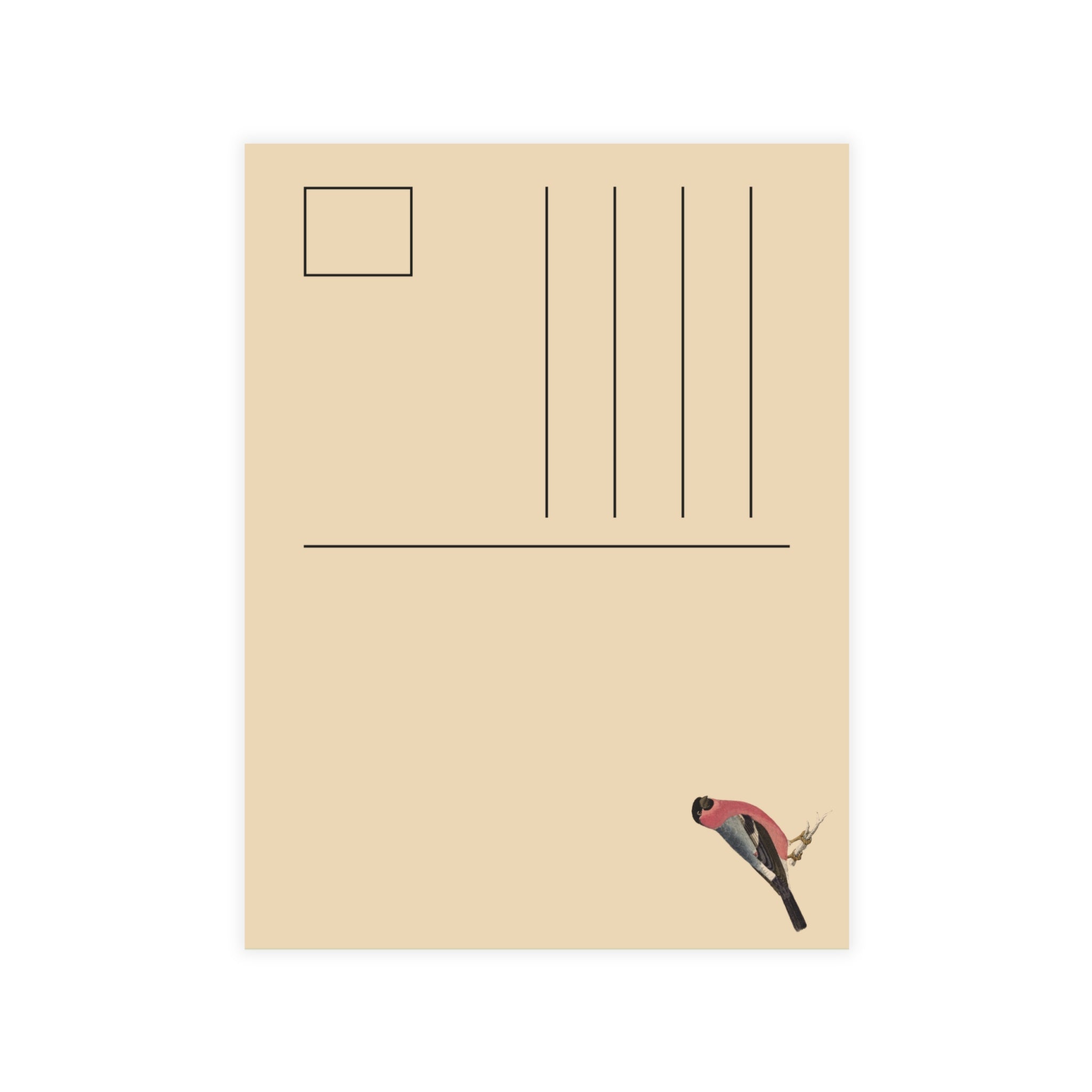 Eurasian Bullfinch Postcard, Greeting Card - Vintage Style, Vintage Art