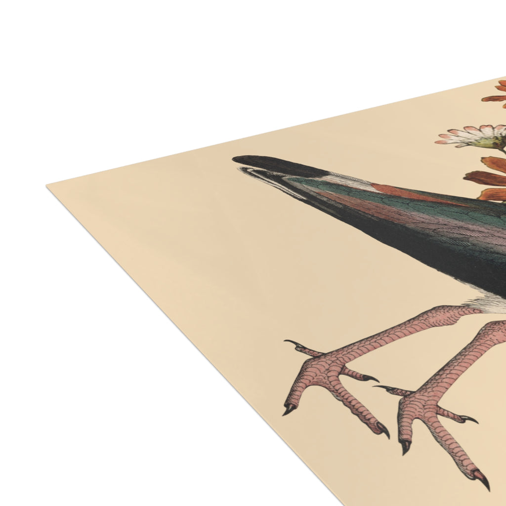 Northern Lapwing Postcard, Greeting Card - Vintage Style, Vintage Art