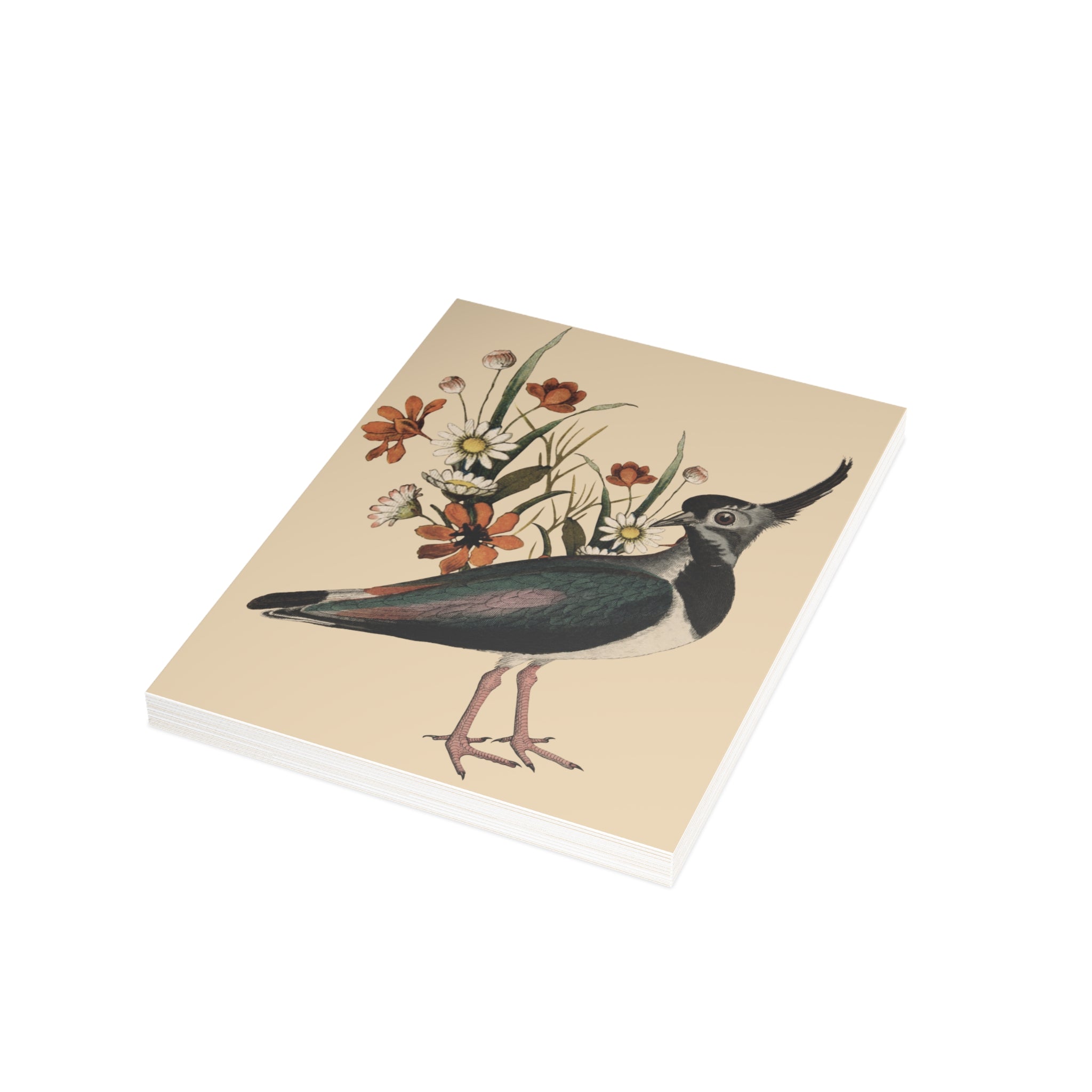 Northern Lapwing Postcard, Greeting Card - Vintage Style, Vintage Art