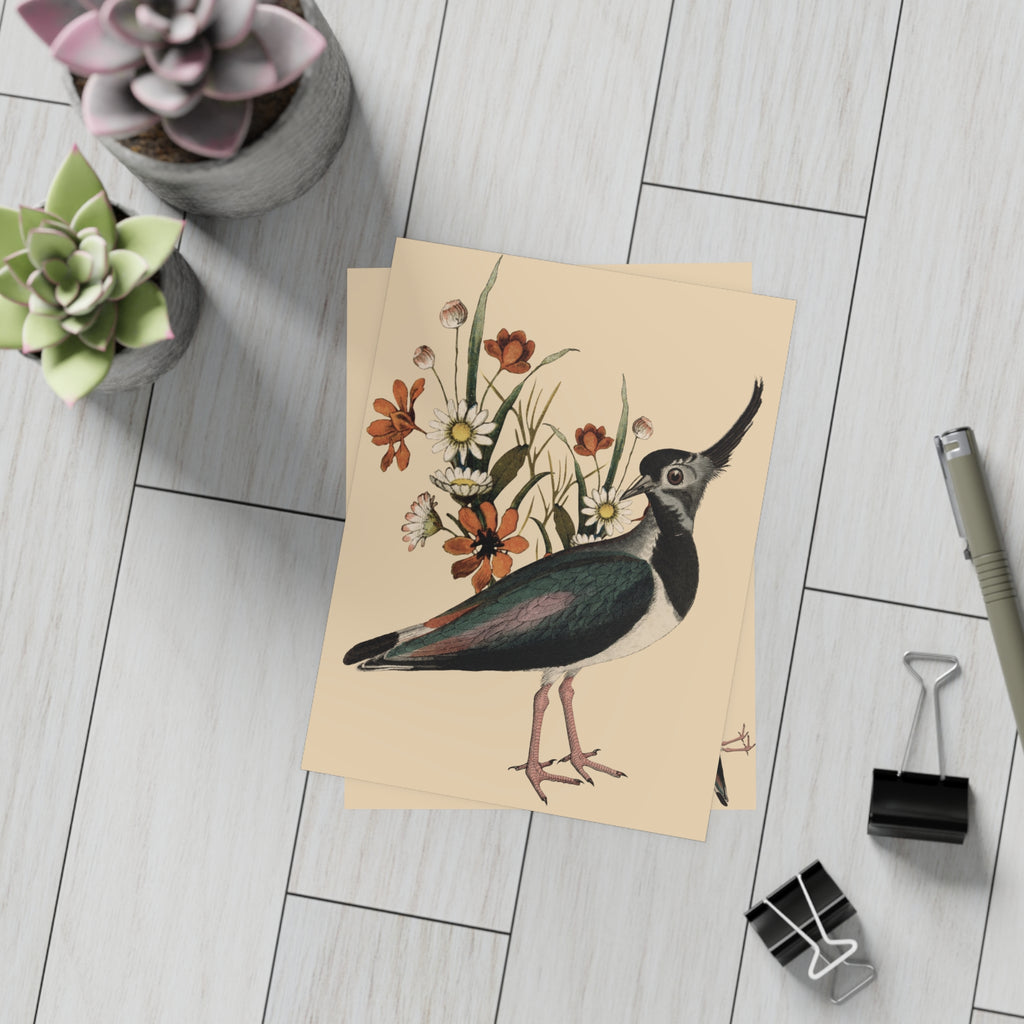 Northern Lapwing Postcard, Greeting Card - Vintage Style, Vintage Art