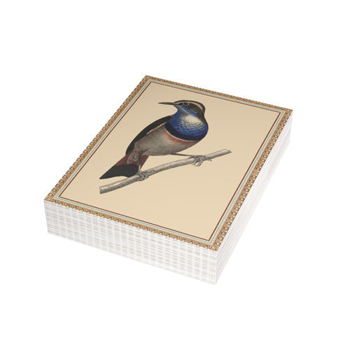 Blue-breasted Pitta Bird Postcard, Greeting Card - Vintage Style, Vintage Art