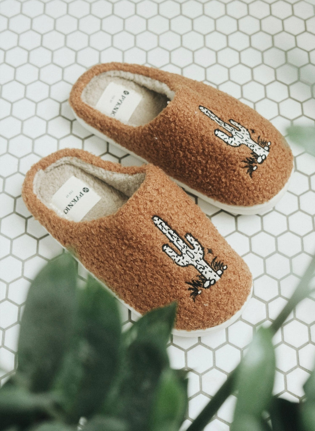 Cactus Tacos Slippers - Addy Avenue