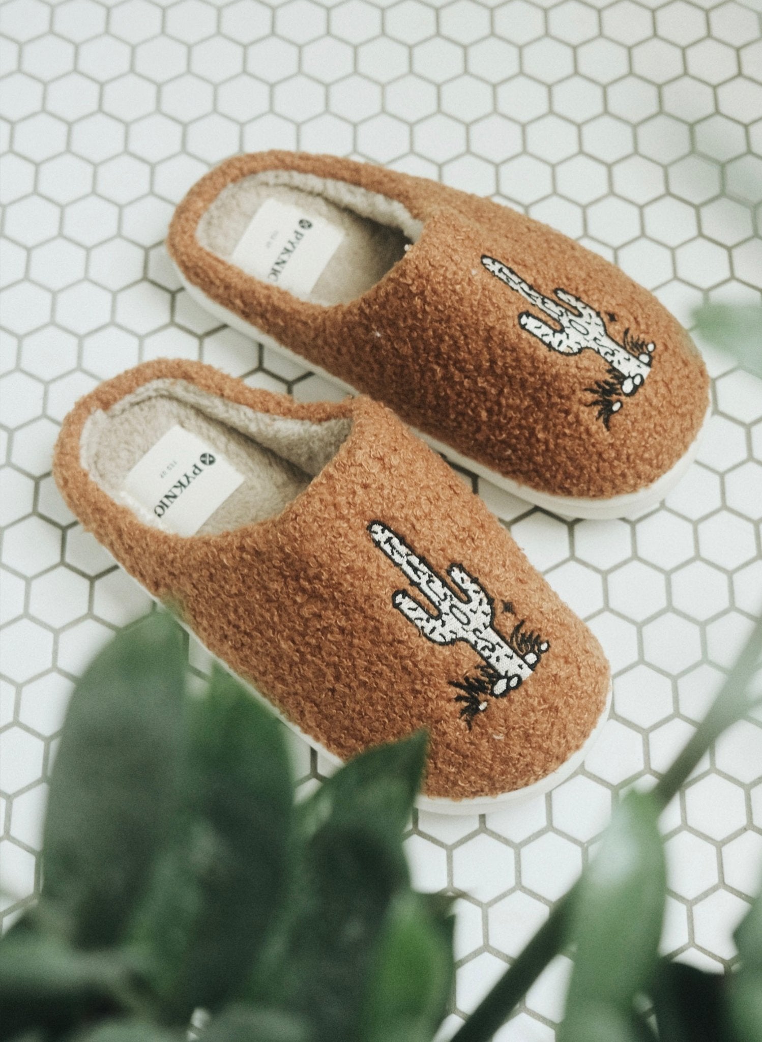Cactus Tacos Slippers - Addy Avenue