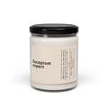 Escapism Expert Candle | Scented Soy 9oz - Addy Avenue