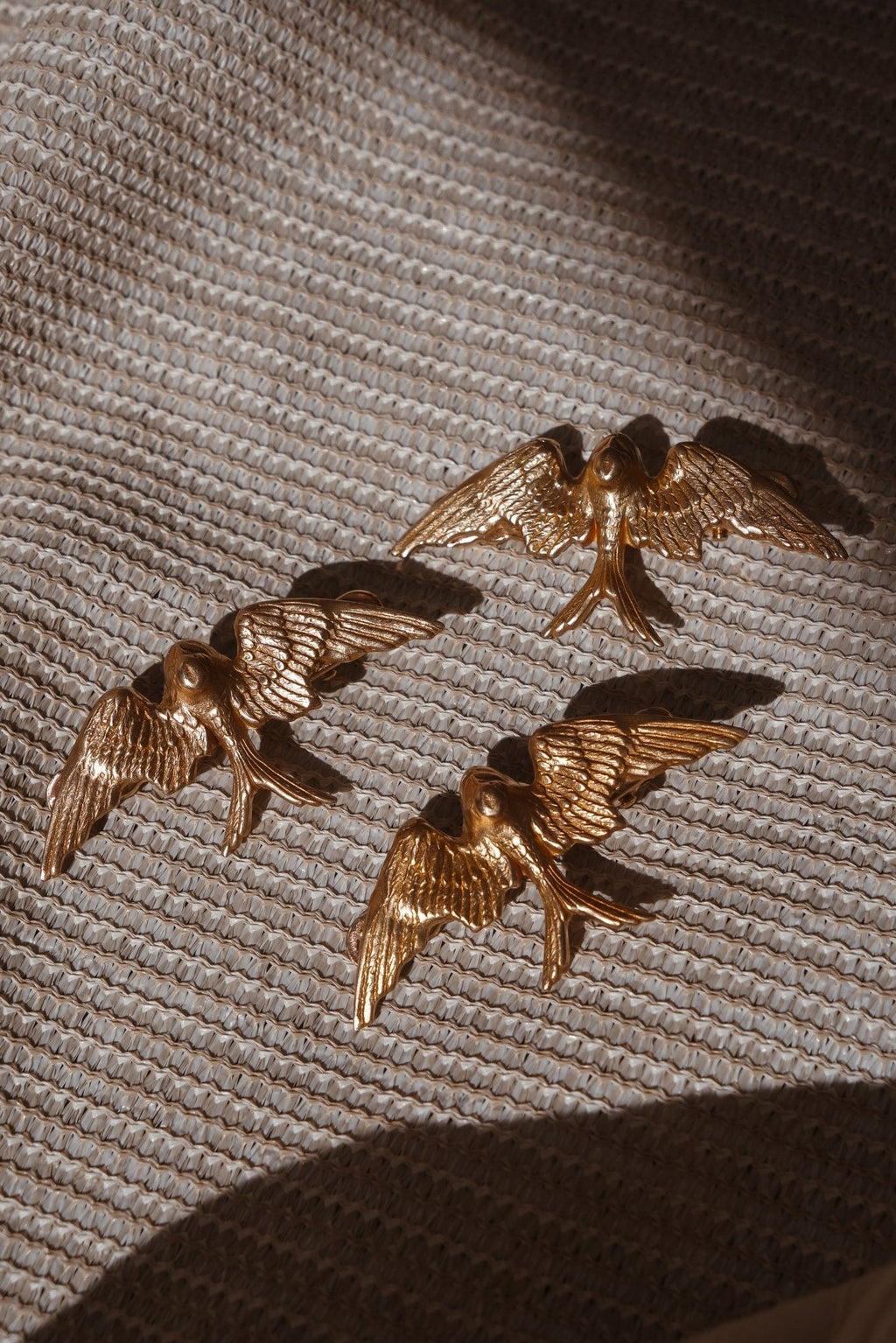 Golden Wings Clip - Addy Avenue