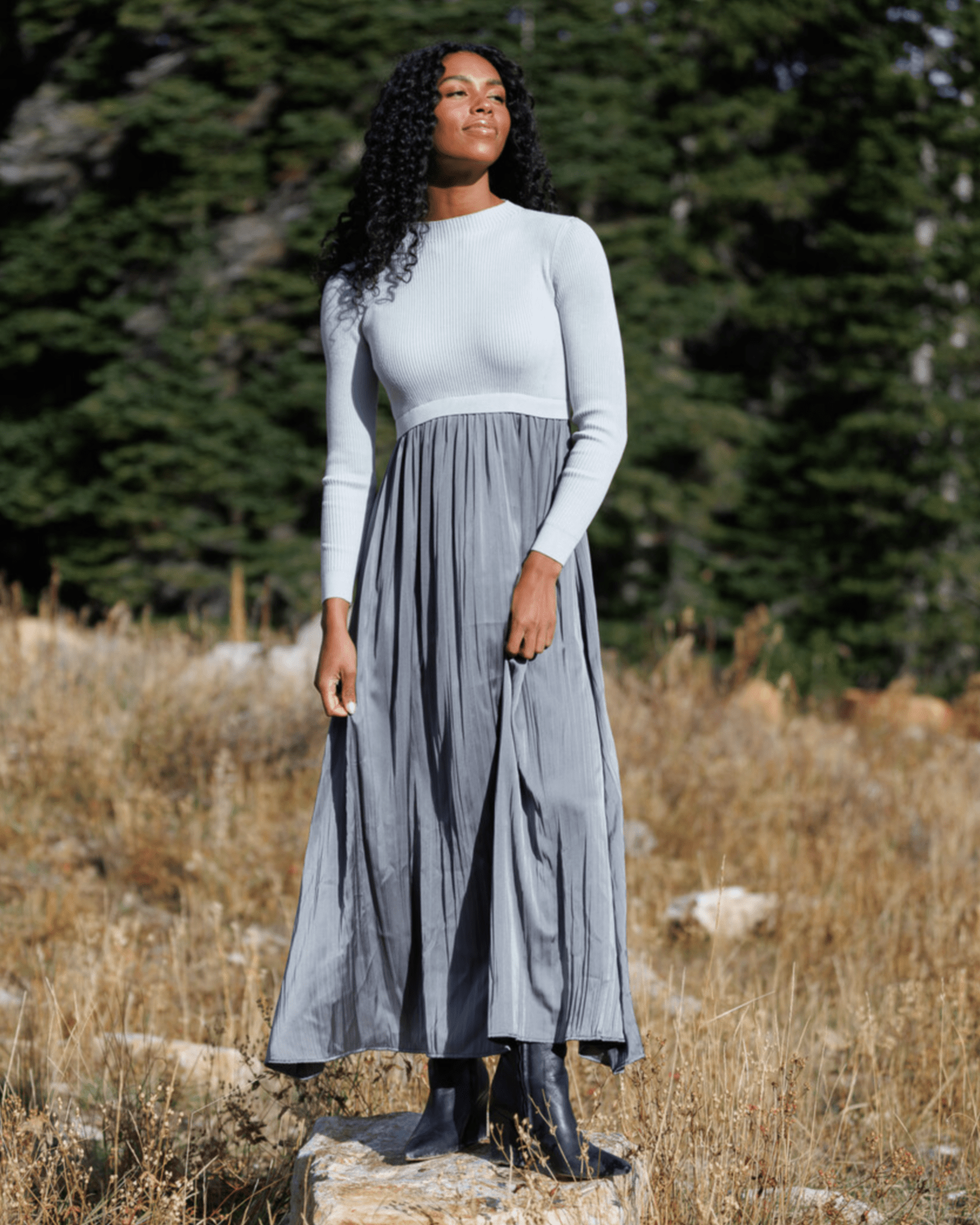 Holiday Hybrid Dress - Addy Avenue