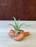 Knot Candle Holder - Addy Avenue
