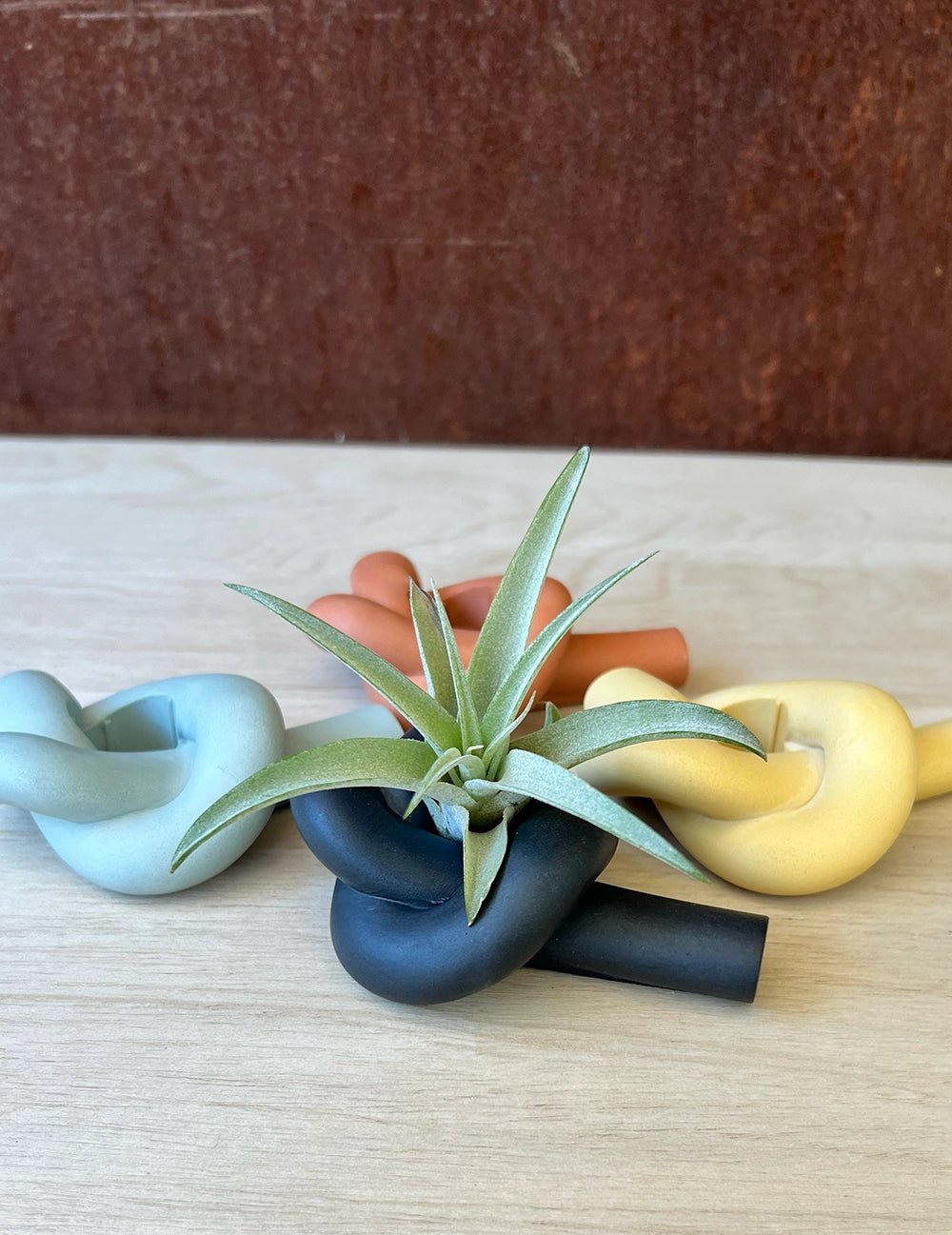 Knot Candle Holder - Addy Avenue