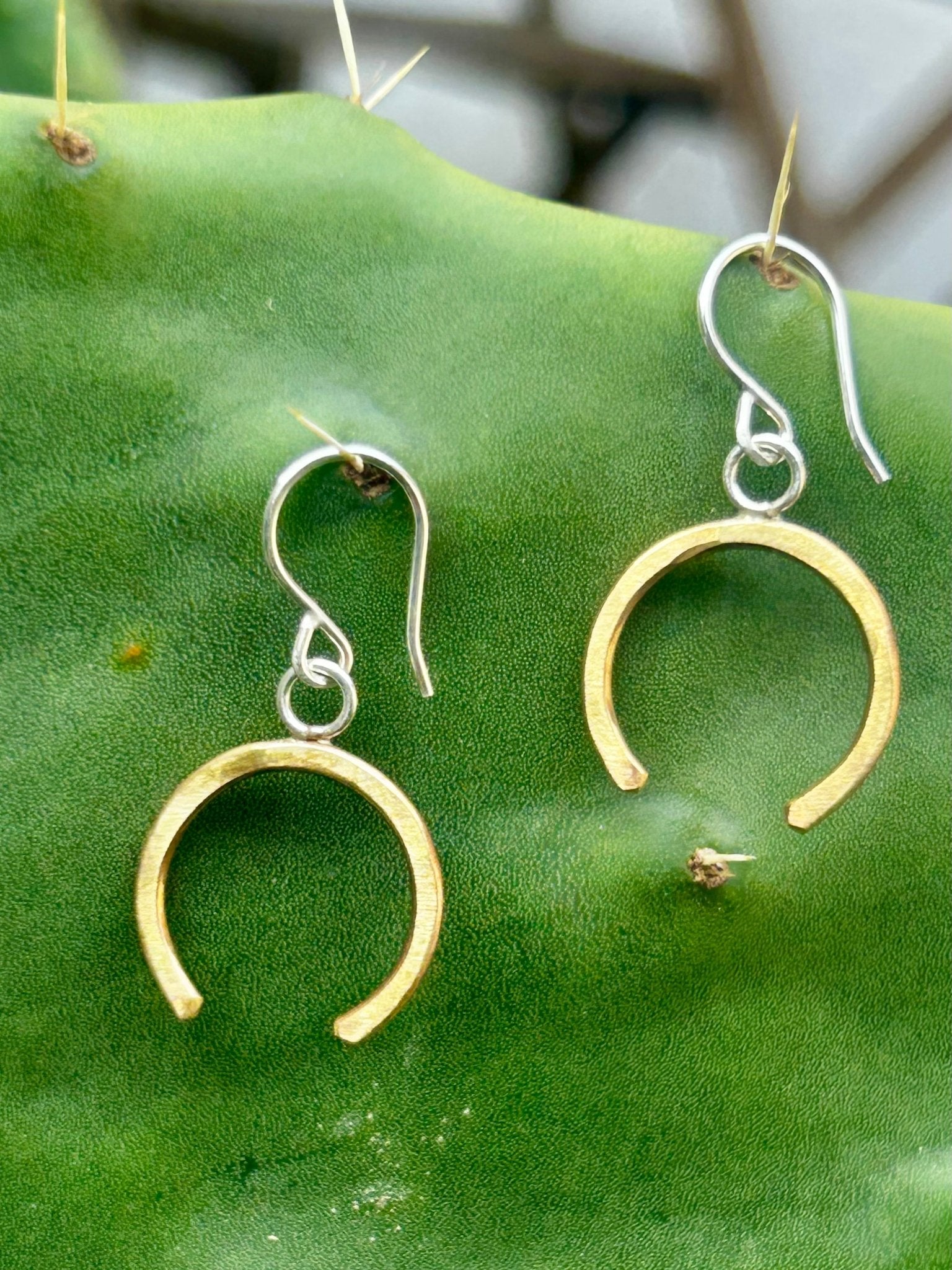Lucky Horseshoe Drop Earrings - Addy Avenue