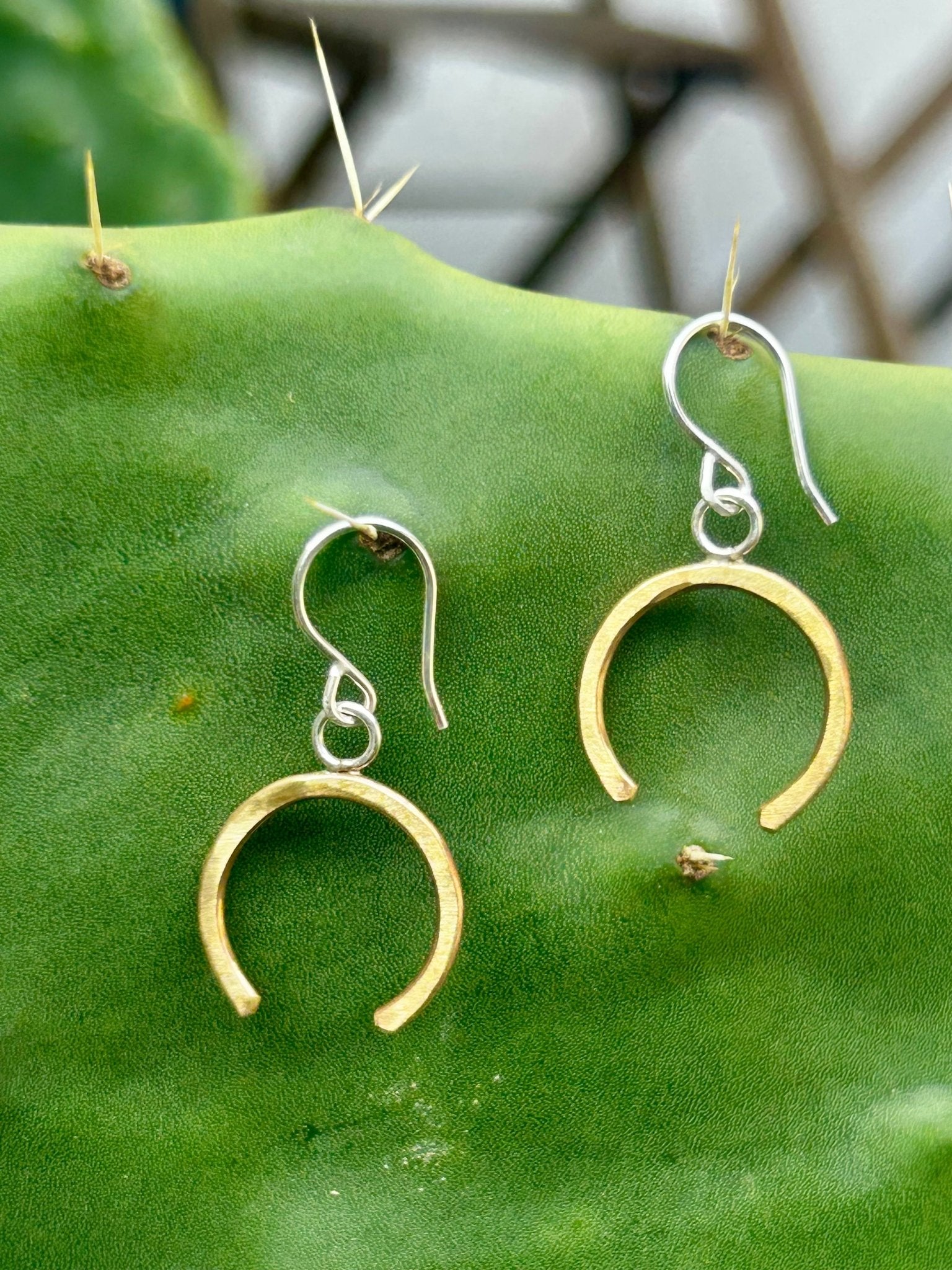 Lucky Horseshoe Drop Earrings - Addy Avenue